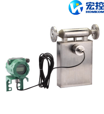 分體型質量流量計